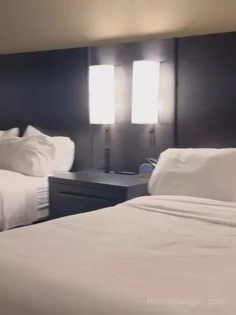 1 Bedroom Suite, 1 King, Sofa Bed bed picture #3