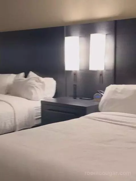 1 Bedroom Suite, 1 King, Sofa Bed bed picture #4