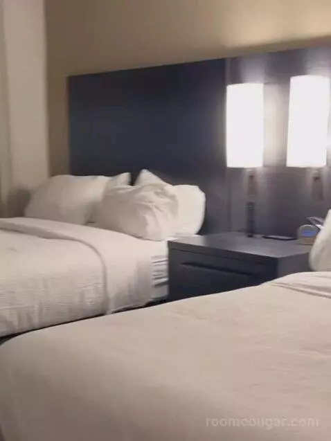 1 Bedroom Suite, 1 King, Sofa Bed bed picture #6
