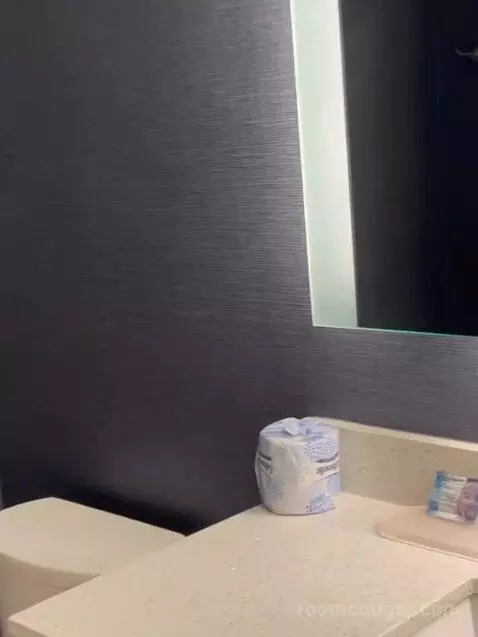 1 Bedroom Suite, 1 King, Sofa Bed bathroom picture #4