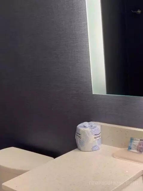 1 Bedroom Suite, 1 King, Sofa Bed bathroom picture #5
