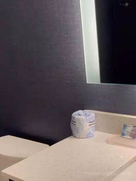 1 Bedroom Suite, 1 King, Sofa Bed bathroom picture #6