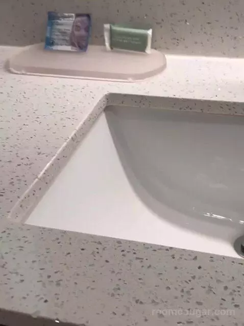 1 Bedroom Suite, 1 King, Sofa Bed bathroom picture #7