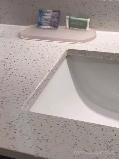 1 Bedroom Suite, 1 King, Sofa Bed bathroom picture #8