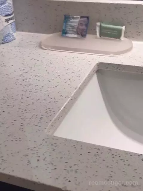 1 Bedroom Suite, 1 King, Sofa Bed bathroom picture #9