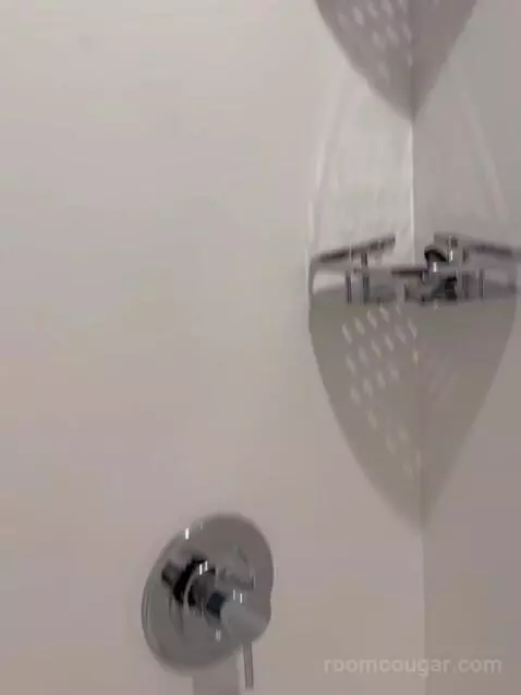 1 Bedroom Suite, 1 King, Sofa Bed bathroom picture #11