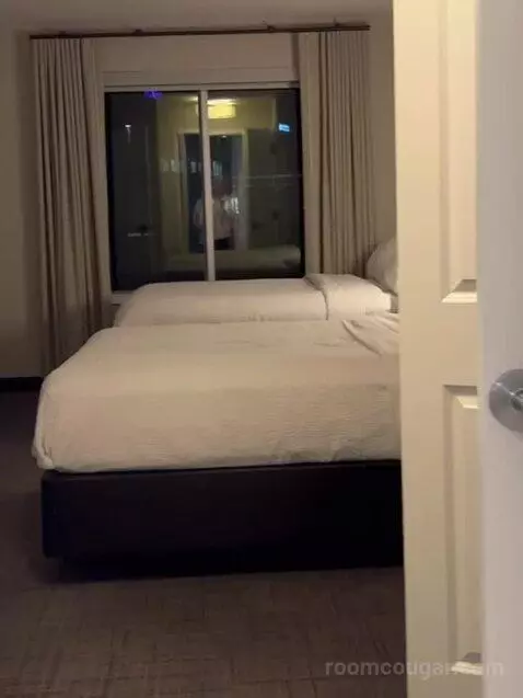 1 Bedroom Suite, 1 King, Sofa Bed bed picture #7
