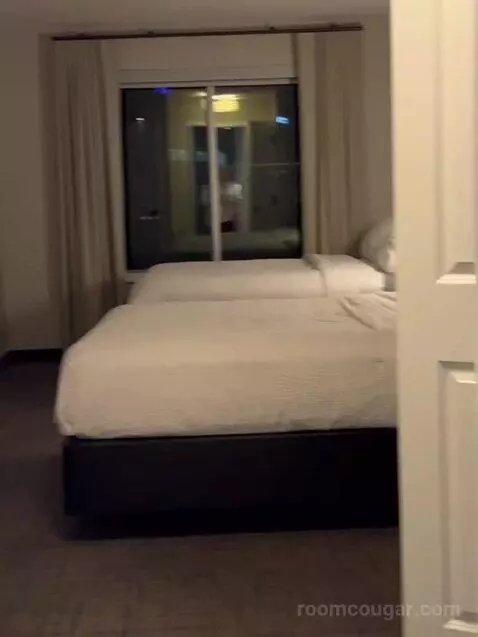 1 Bedroom Suite, 1 King, Sofa Bed bed picture #8