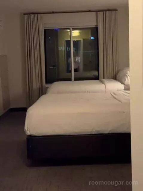 1 Bedroom Suite, 1 King, Sofa Bed bed picture #10