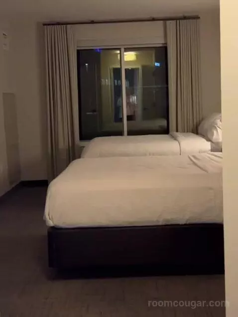 1 Bedroom Suite, 1 King, Sofa Bed bed picture #11