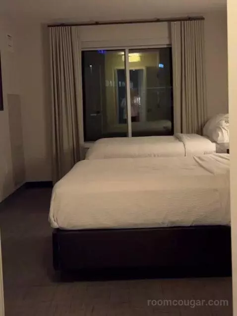 1 Bedroom Suite, 1 King, Sofa Bed bed picture #12