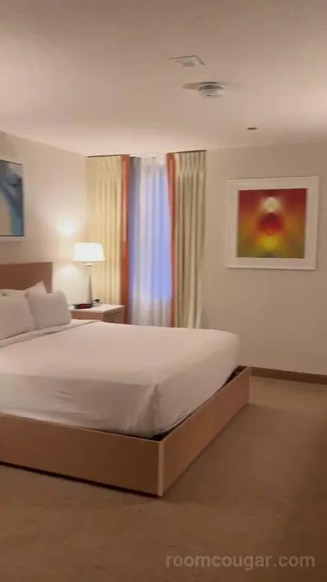 North Deluxe Room 1 King (#823) bed picture #2