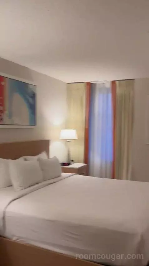 North Deluxe Room 1 King (#823) bed picture #6