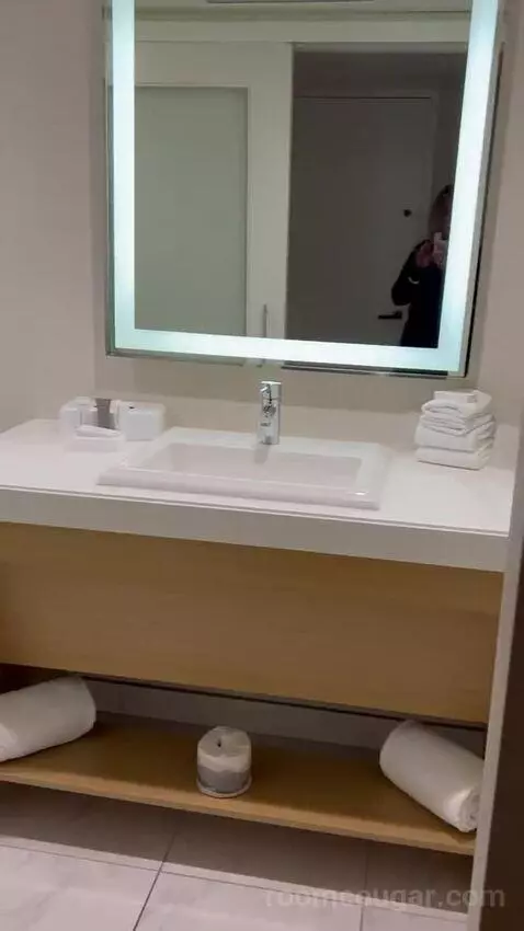 North Deluxe Room 1 King (#823) bathroom picture #5
