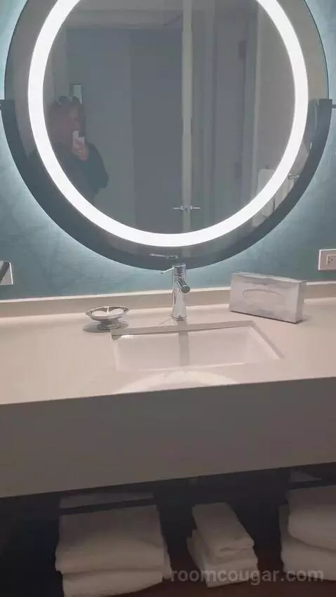 New Renovated Waterfront Tower Premium 2 Queens (#27097) bathroom picture #8