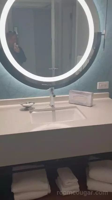 New Renovated Waterfront Tower Premium 2 Queens (#27097) bathroom picture #9