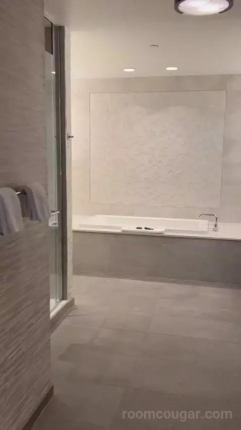 New Renovated Waterfront Tower Modern Suite King (#33100) bathroom picture #4
