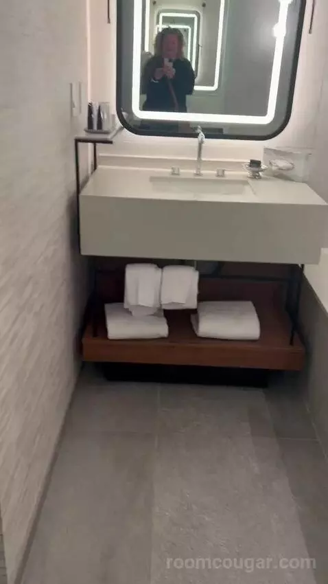 New Renovated Waterfront Tower Modern Suite King (#33100) bathroom picture #7