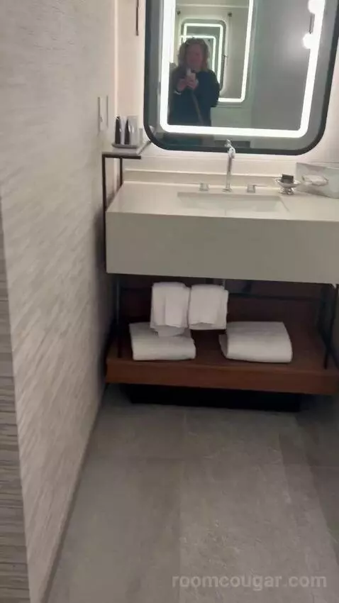 New Renovated Waterfront Tower Modern Suite King (#33100) bathroom picture #8