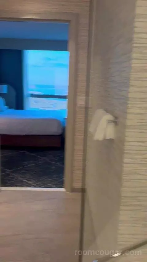 New Renovated Waterfront Tower Modern Suite King (#33100) view picture #8