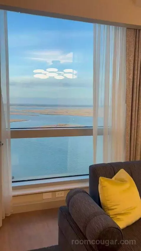 New Renovated Waterfront Tower Modern Suite King (#33100) view picture #5