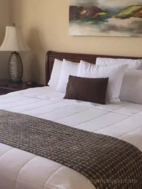 Suite bed picture #7