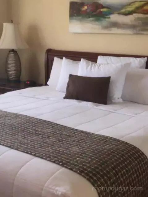 Suite bed picture #8