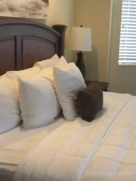 Suite bed picture #9