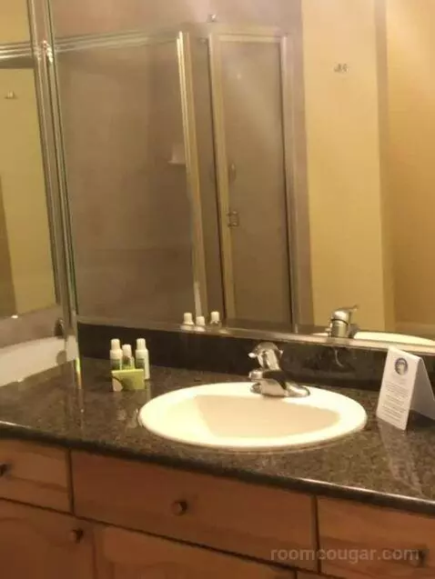Suite bathroom picture #2
