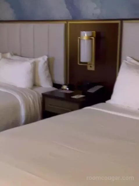 Double Queen Room bed picture #9