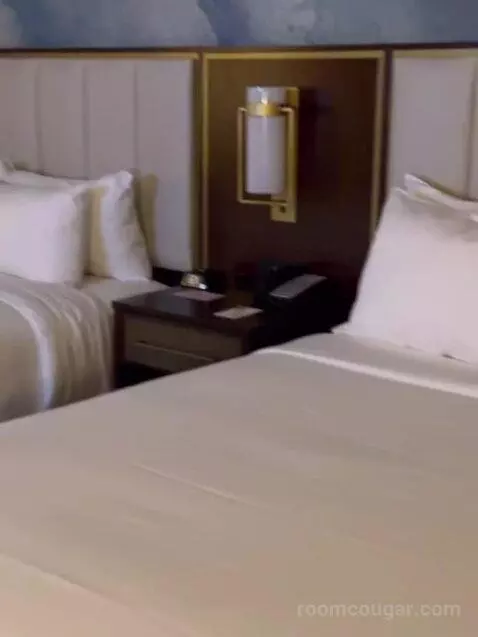 Double Queen Room bed picture #10
