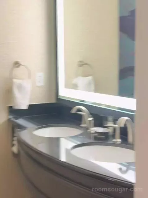 Double Queen Room bathroom picture #1