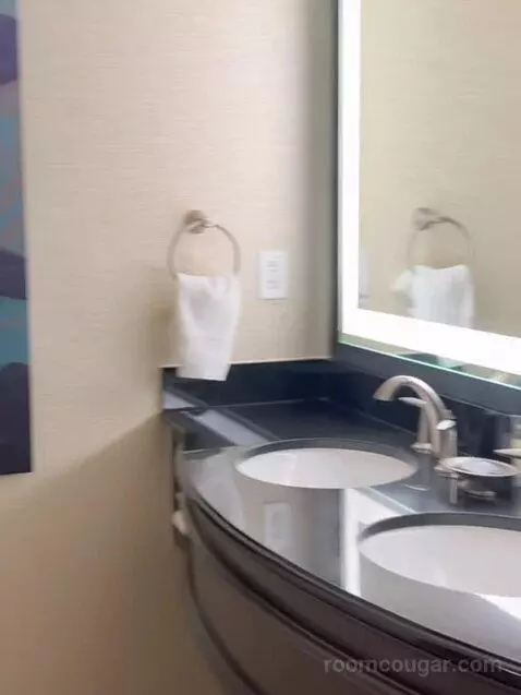 Double Queen Room bathroom picture #3