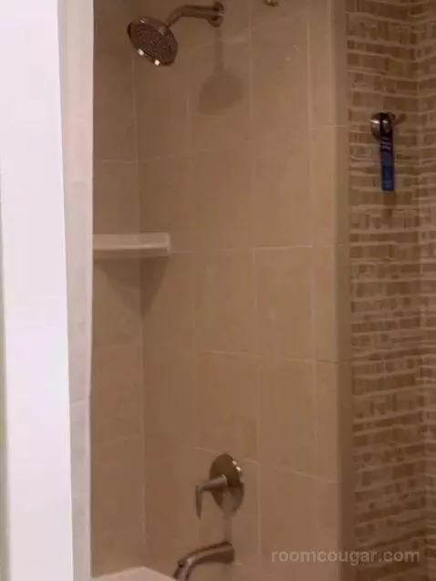 Double Queen Room picture #4