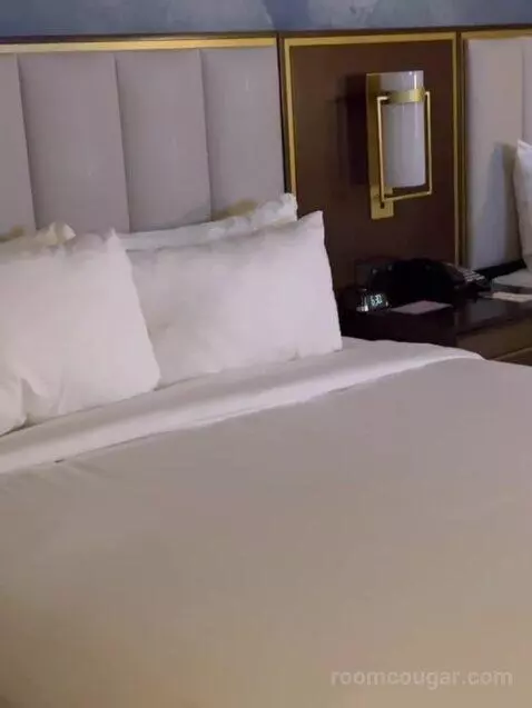 Double Queen Room bed picture #5