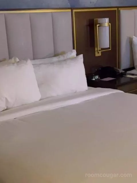 Double Queen Room picture #8