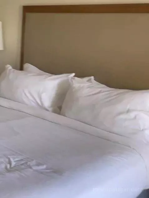 Two Bedroom Apartment bed picture #1