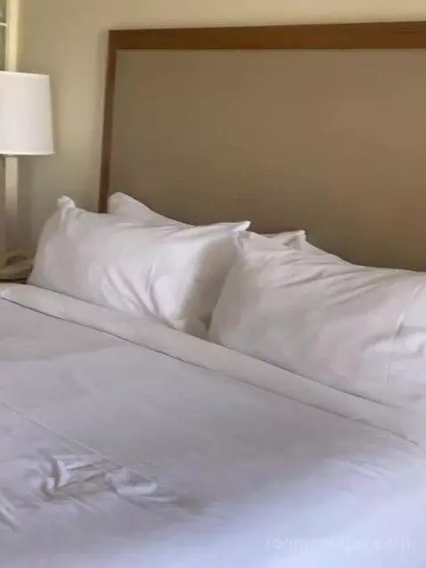 Two Bedroom Apartment bed picture #2