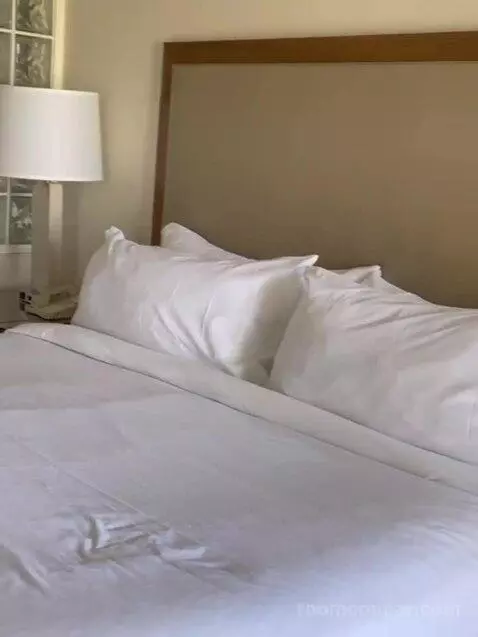 Two Bedroom Apartment bed picture #3