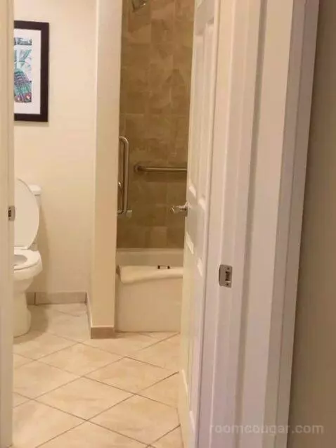 Two Bedroom Apartment bathroom picture #2