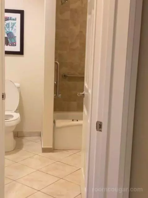 Two Bedroom Apartment bathroom picture #3