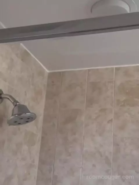 Two Bedroom Apartment bathroom picture #10