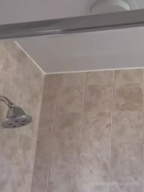 Two Bedroom Apartment bathroom picture #12