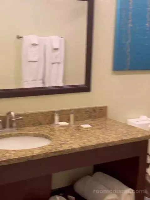 One Bedroom Queen Suite Plus with Sofabed (#31606) bathroom picture #5
