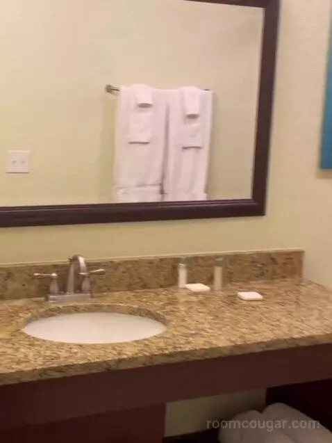 One Bedroom Queen Suite Plus with Sofabed (#31606) bathroom picture #7