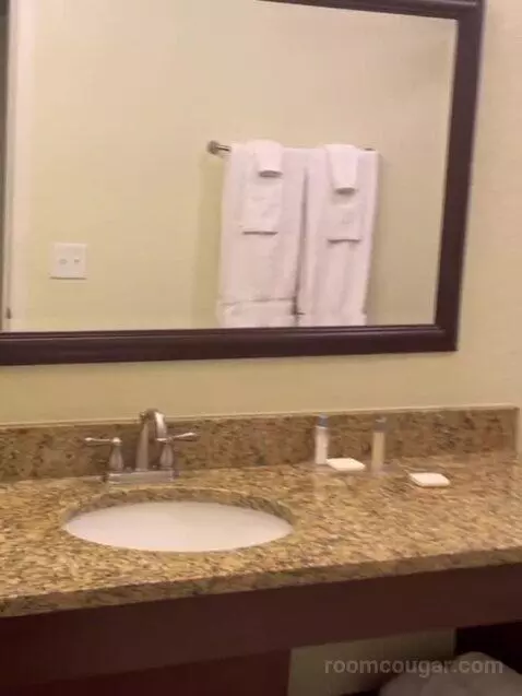 One Bedroom Queen Suite Plus with Sofabed (#31606) bathroom picture #8