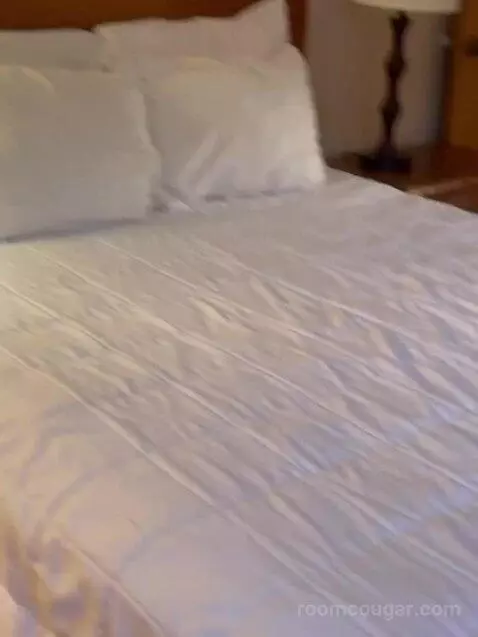 Suite (2PH) bed picture #7