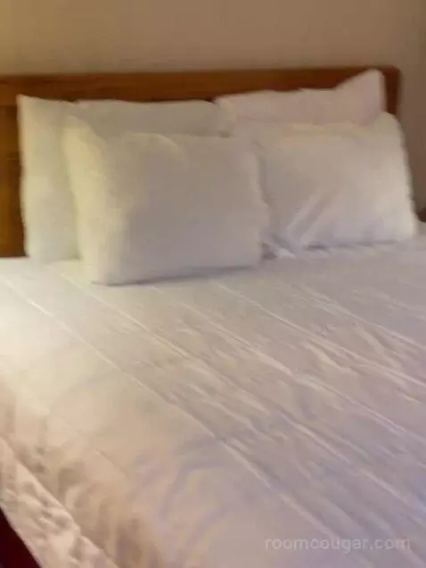 Suite (2PH) bed picture #9