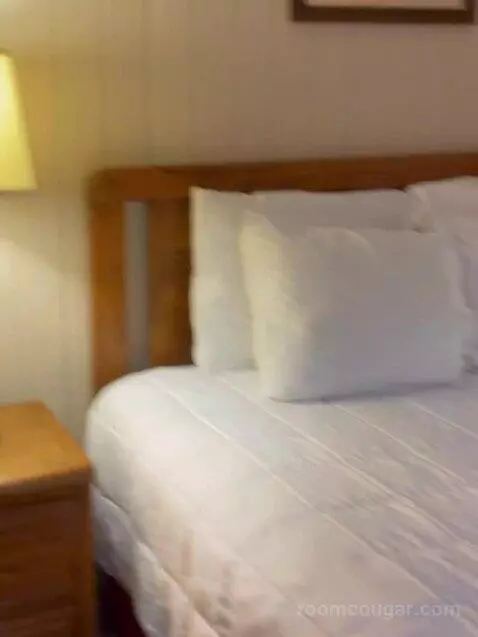 Suite (2PH) bed picture #11