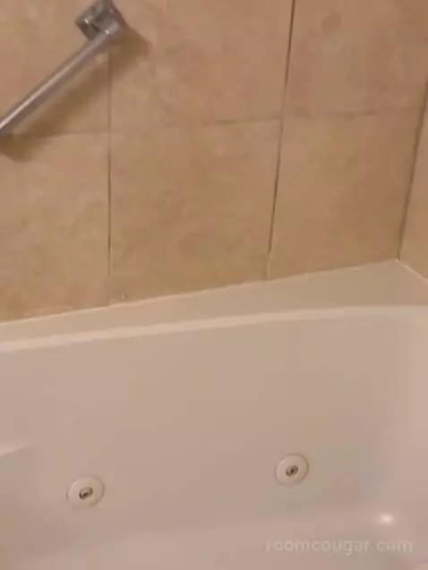 Suite (2PH) bathroom picture #10